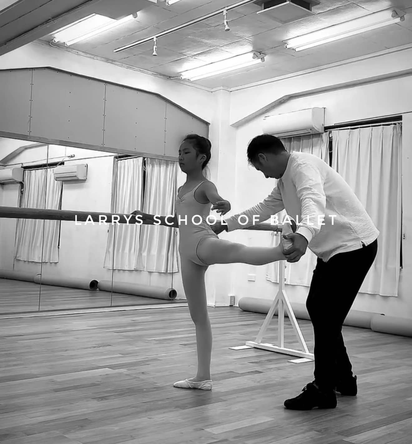 larrys_school_of_ballet_professional_1